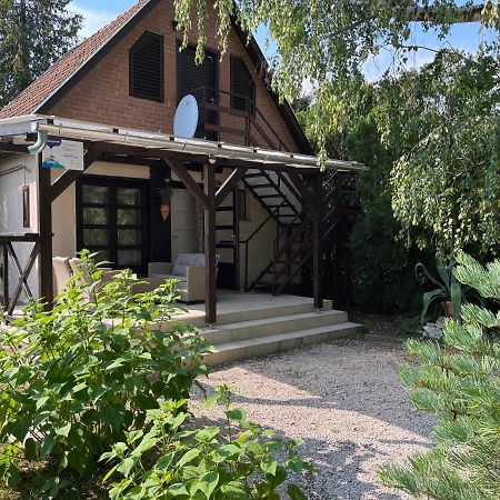Aranypart Vendeghaz - Tiszakecske Villa Buitenkant foto